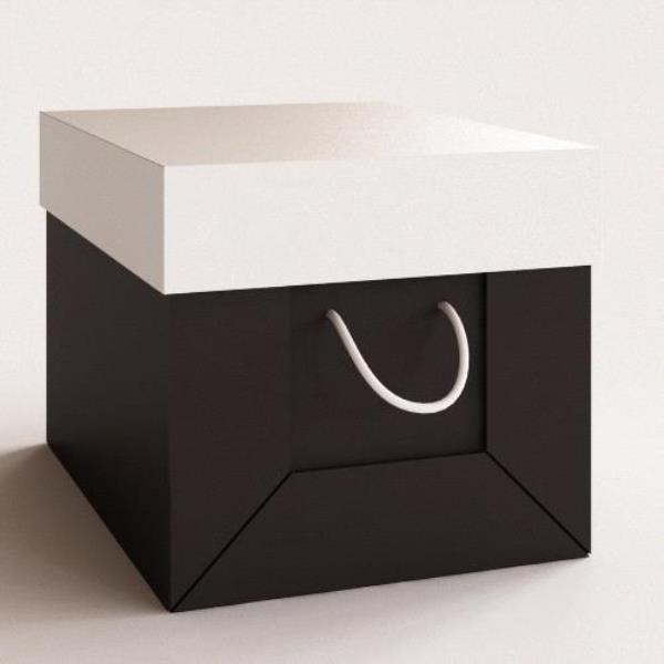 Box 3D Model - دانلود مدل سه بعدی جعبه - آبجکت سه بعدی جعبه - دانلود مدل سه بعدی fbx - دانلود مدل سه بعدی obj -Box 3d model free download  - Box 3d Object - Box OBJ 3d models - Box FBX 3d Models - 